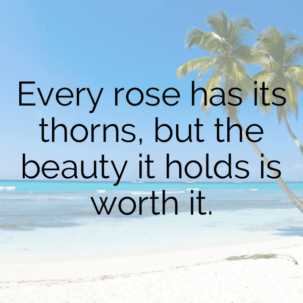 250+ Rose Captions For Instagram (Best, Funny & Short) 17 Rose Captions Photo For Instagram-bj6Op1