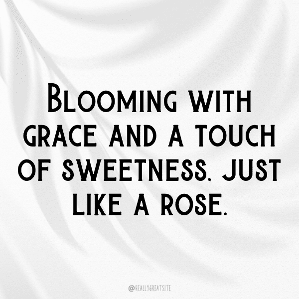 250+ Rose Captions For Instagram (Best, Funny & Short) 13 Rose Captions Photo For Instagram-dTYN2P