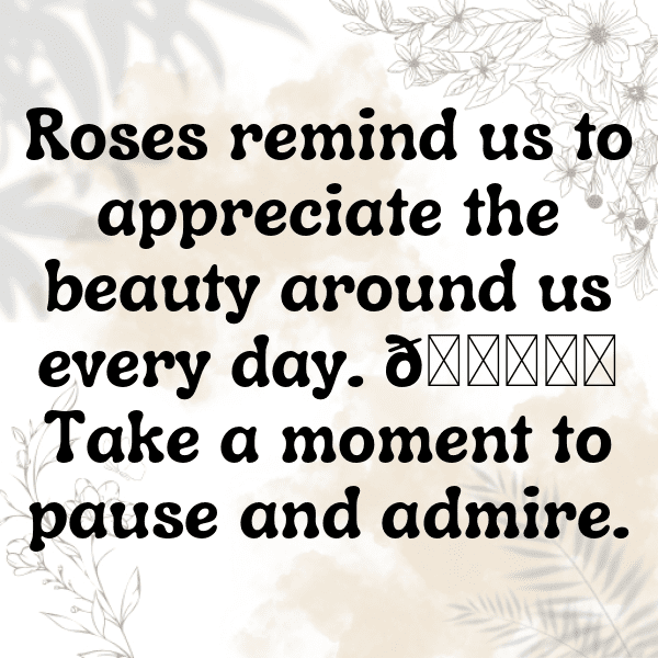 250+ Rose Captions For Instagram (Best, Funny & Short) 20 Rose Captions Photo For Instagram-gGAPM3