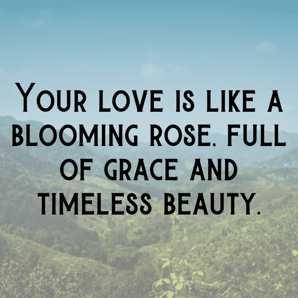 250+ Rose Captions For Instagram (Best, Funny & Short) 16 Rose Captions Photo For Instagram-YpQNyy