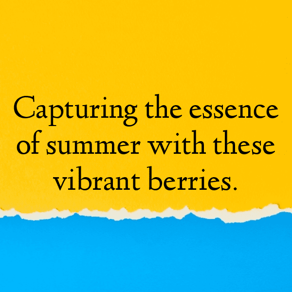 291+ Rowan Berry Captions For Instagram (Trending, Funny & Top) 7 Rowan Berry Captions Photo For Instagram-5fJFCo