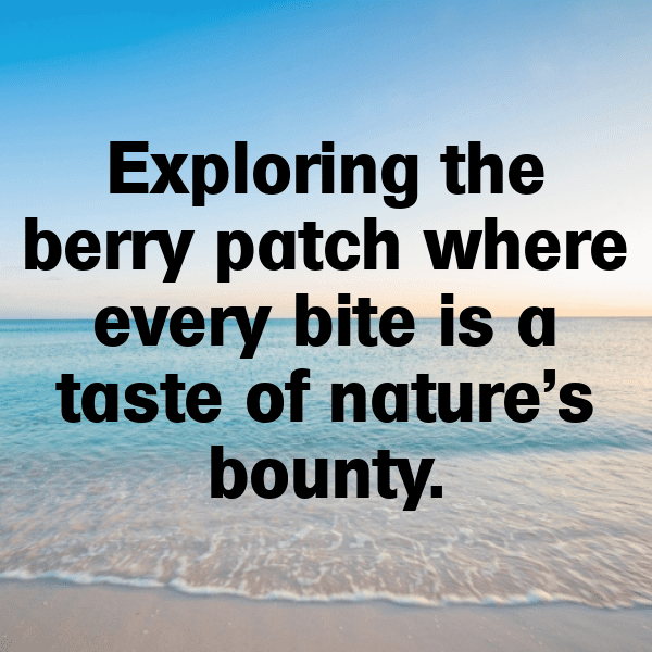 291+ Rowan Berry Captions For Instagram (Trending, Funny & Top) 3 Rowan Berry Captions Photo For Instagram-xDMisH