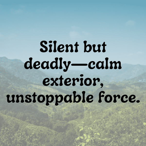 301+ Royal Enfield Continental GT Captions for Instagram (Short, Trending & Viral) 3 Royal Enfield Continental GT Captions Image for Instagram-Kuxmko