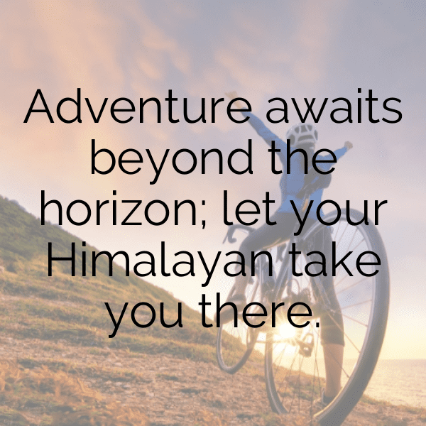 Royal Enfield Himalayan Captions Image for Instagram-corosH