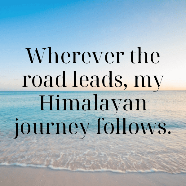 Royal Enfield Himalayan Captions Image for Instagram-V0kFqJ