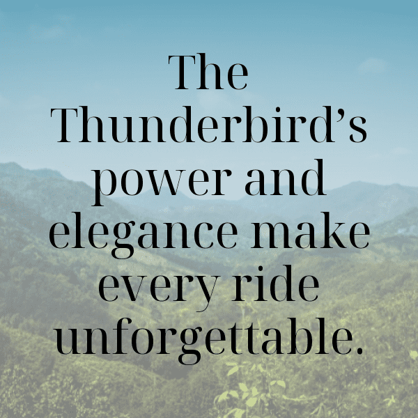 275+ Royal Enfield Thunderbird Captions for Instagram (Trending, Funny & Top) 9 Royal Enfield Thunderbird Captions Image for Instagram-qm6dAK