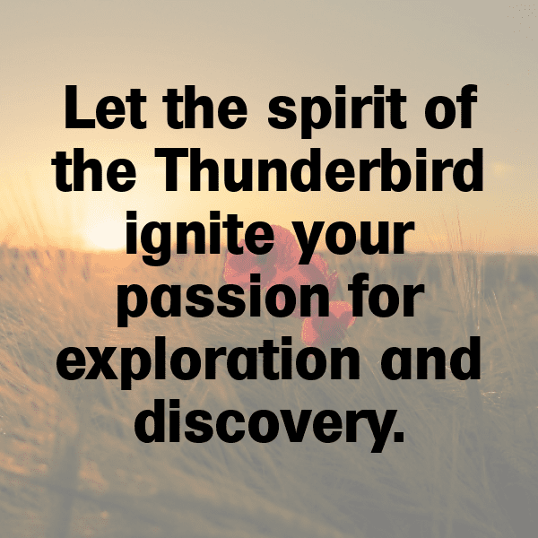 275+ Royal Enfield Thunderbird Captions for Instagram (Trending, Funny & Top) 13 Royal Enfield Thunderbird Captions Photo for Instagram-QW85Cf