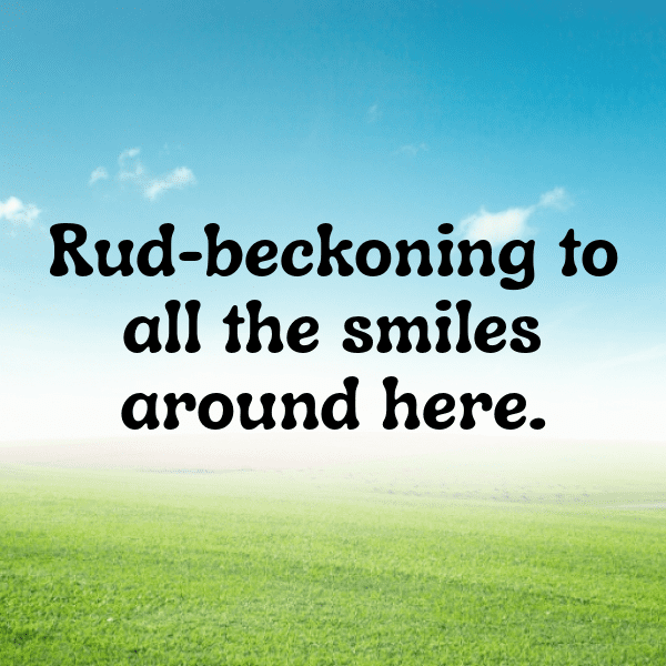 Rudbeckia Captions Image For Instagram-91EJls