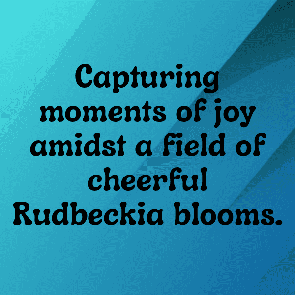 Rudbeckia Captions Image For Instagram-SkjmXX