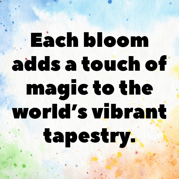 Rudbeckia Captions Image For Instagram-zlhHuG