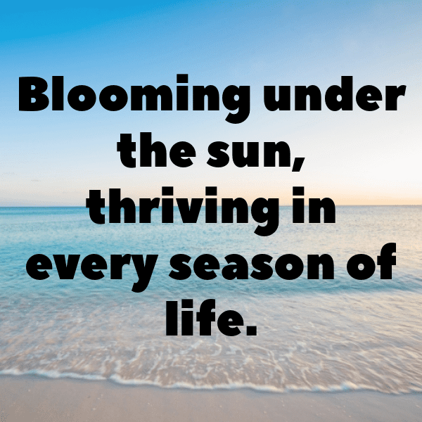 Rudbeckia Captions Photo For Instagram-n5IqGv