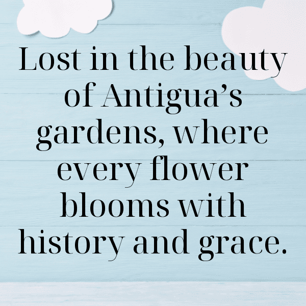 263+ Saint Kitts and Nevis Captions For Instagram In 2025 3 Saint Kitts and Nevis Captions Photo For Instagram-ptQFzy