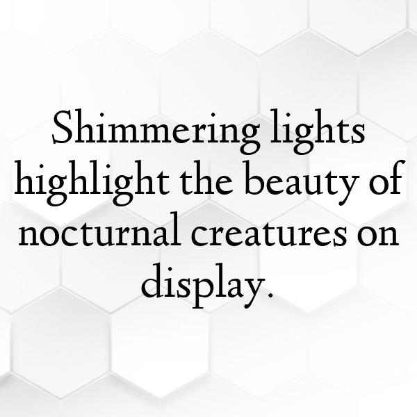 311+ Salamander Captions For Instagram (Short, Trending & Viral) 10 Salamander Captions Image For Instagram-EJ5eSB