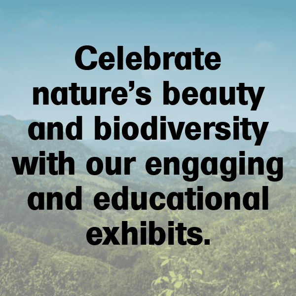 311+ Salamander Captions For Instagram (Short, Trending & Viral) 9 Salamander Captions Photo For Instagram-2Wb5Kn