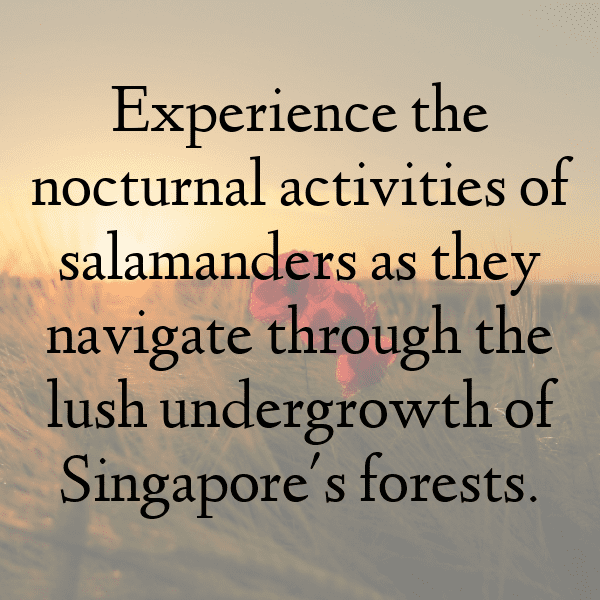 311+ Salamander Captions For Instagram (Short, Trending & Viral) 11 Salamander Captions Photo For Instagram-TLnw9k