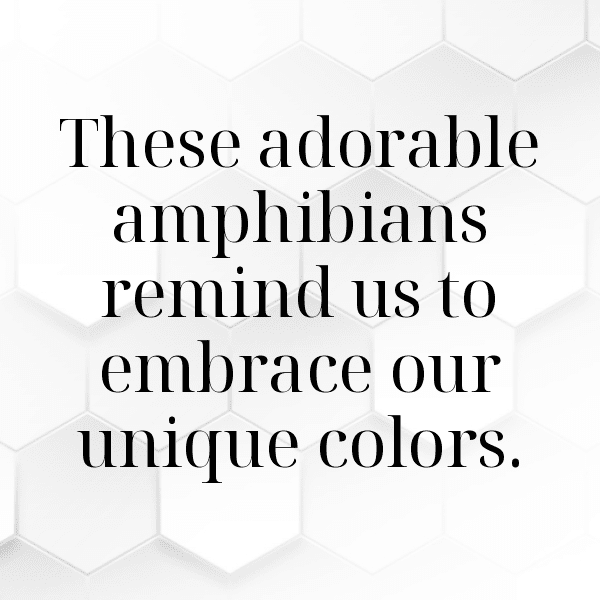 311+ Salamander Captions For Instagram (Short, Trending & Viral) 5 Salamander Captions Photo For Instagram-zrn7Rn