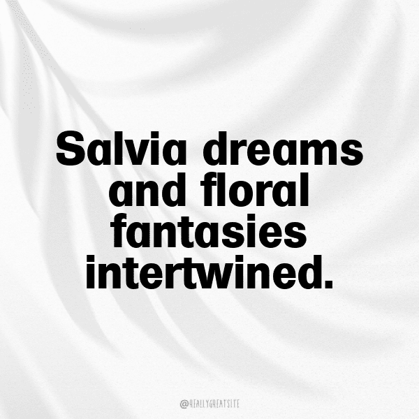 Salvia Captions Image For Instagram-bjMk1F