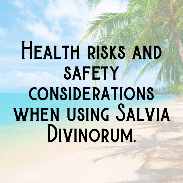 Salvia Captions Photo For Instagram-M2KQHT