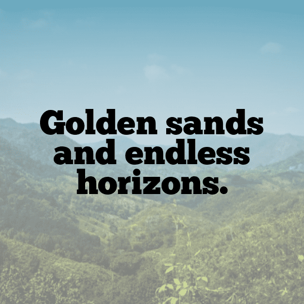 Sandboarding Captions Photo for Instagram-9oTOx1