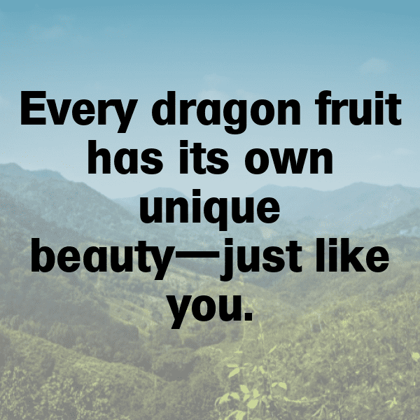 Sapodilla Captions Image For Instagram-UpsngL