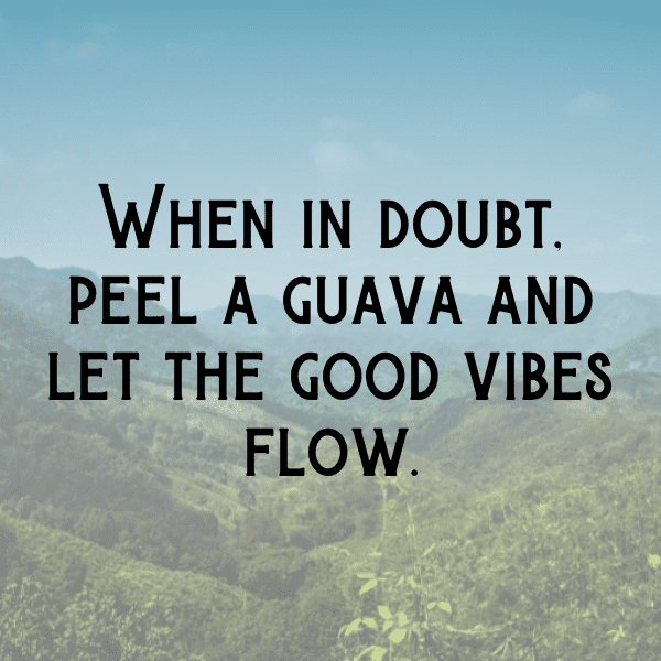 Sapote Captions Photo For Instagram-RB04UP