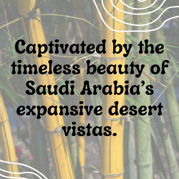 Saudi Arabia Captions Photo For Instagram-Py01sE