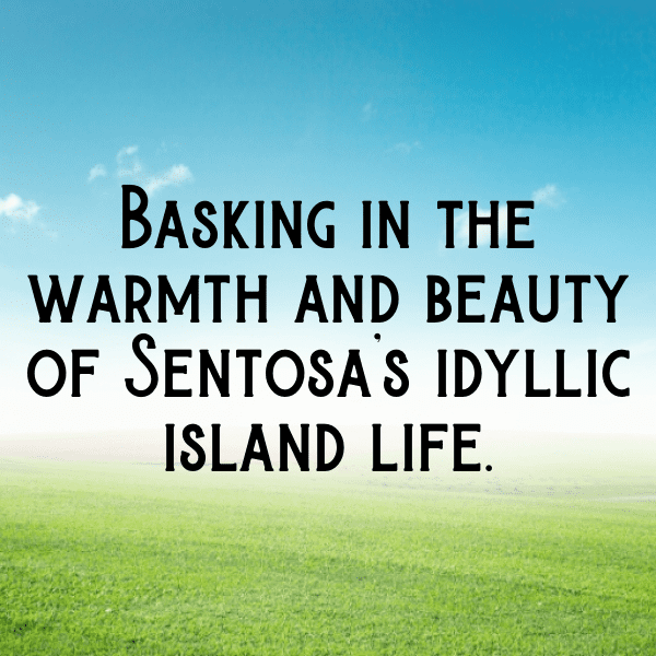 Scabiosa Captions Image For Instagram-2aREJd