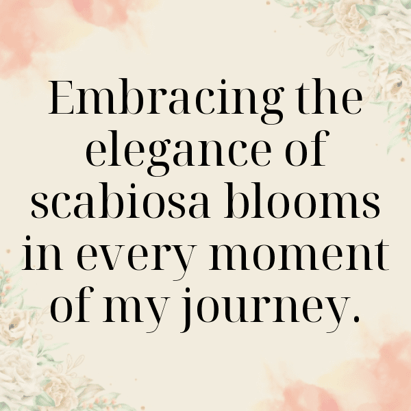 Scabiosa Captions Image For Instagram-fFKEMr