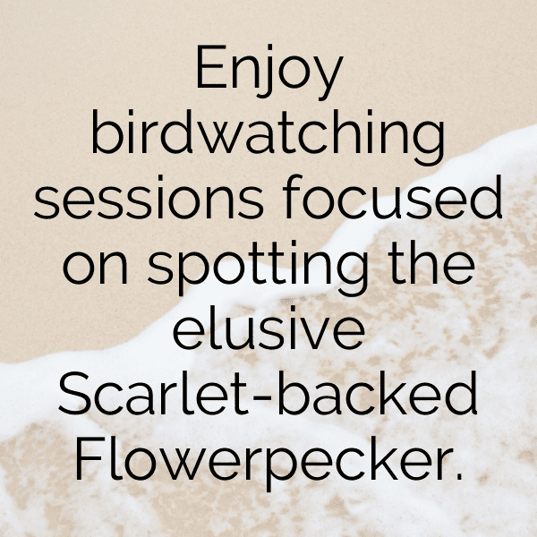 Scabiosa Captions Photo For Instagram-E3QOKT