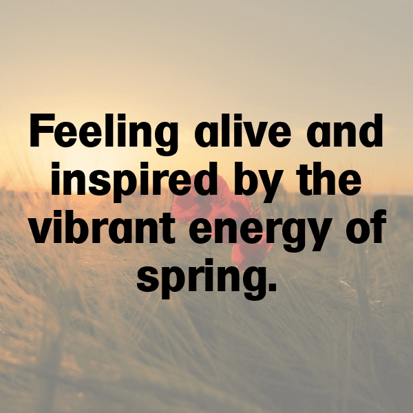 Scallion Captions Image For Instagram-fxkbAj