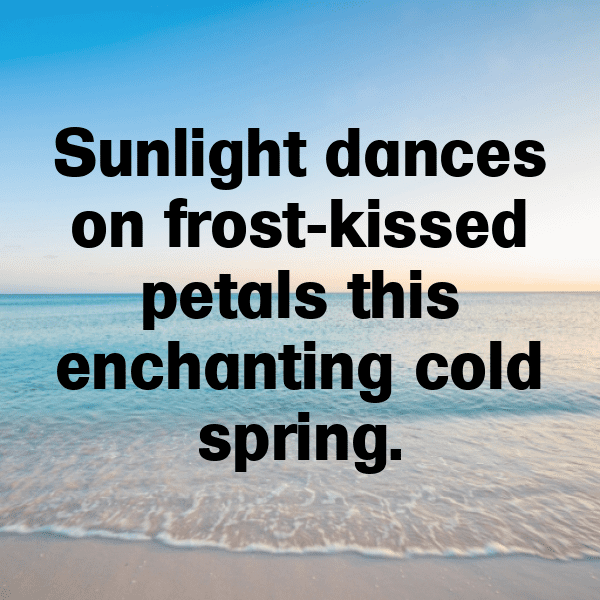 Scallion Captions Image For Instagram-R9lu1U