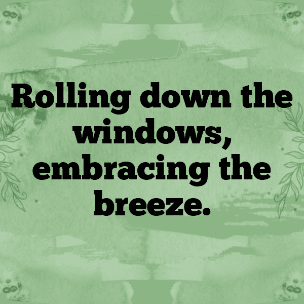 Scenic Drive Captions Image for Instagram-1UZRFk