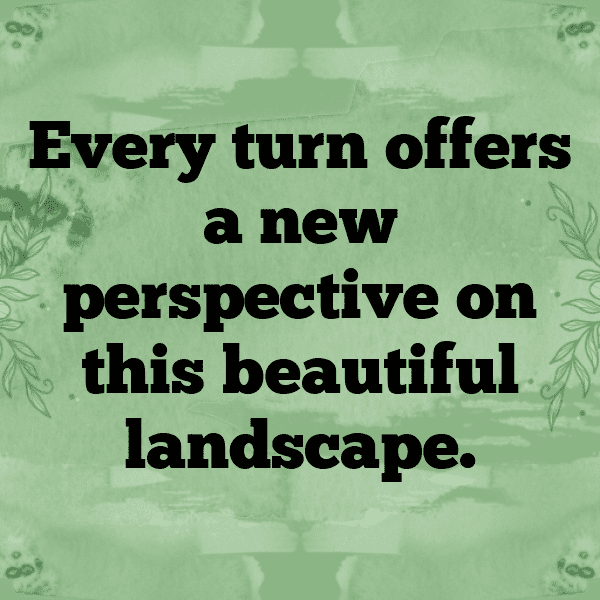 Scenic Drive Captions Image for Instagram-UKi1T7