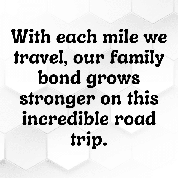 Scenic Drive Captions Photo for Instagram-nSkpK6