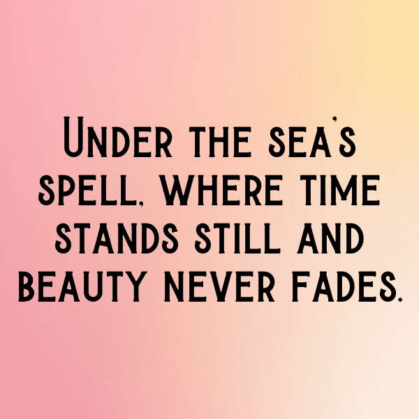 Sea Beet Captions Photo For Instagram-UYK4wu