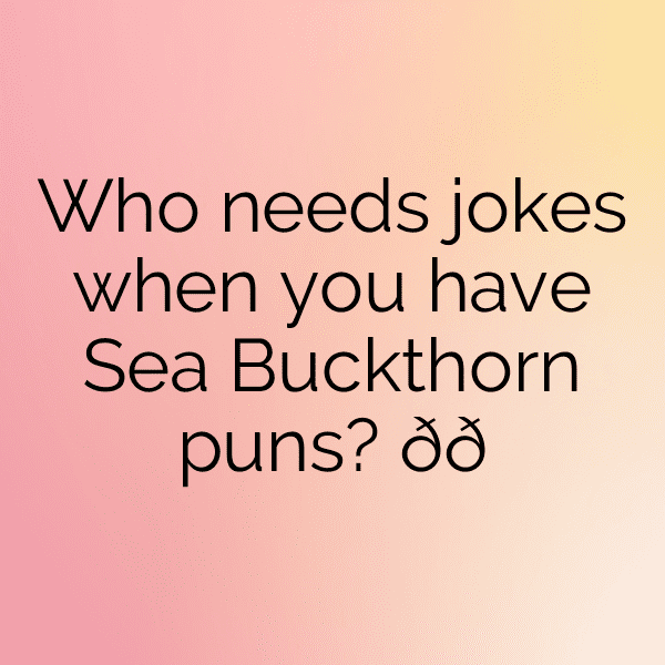 239+ Sea Buckthorn Captions For Instagram (Trending, Funny & Top) 7 Sea Buckthorn Captions Image For Instagram-XcjXOi