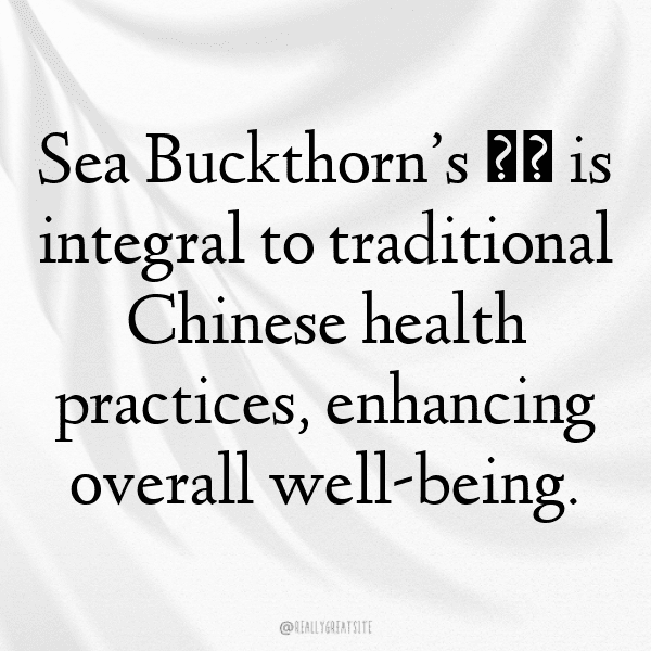 239+ Sea Buckthorn Captions For Instagram (Trending, Funny & Top) 11 Sea Buckthorn Captions Photo For Instagram-VeOsEm