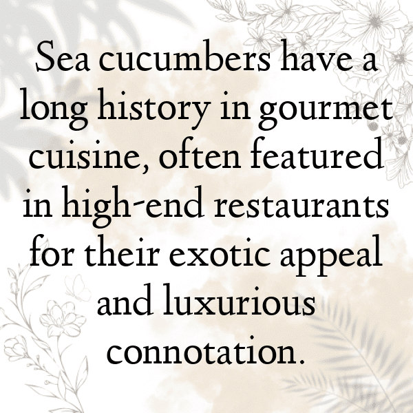 Sea Cucumber Captions Image For Instagram-K7v01S