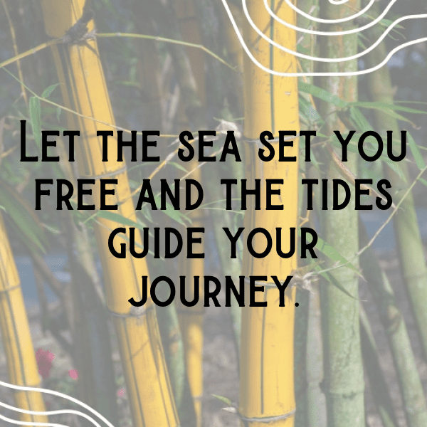 Sea Holly Captions Image For Instagram-AYVhOB