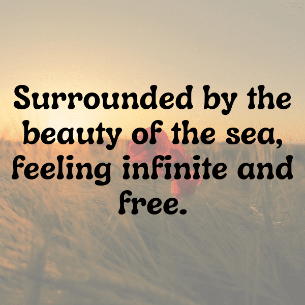 Sea Holly Captions Photo For Instagram-El8BjX