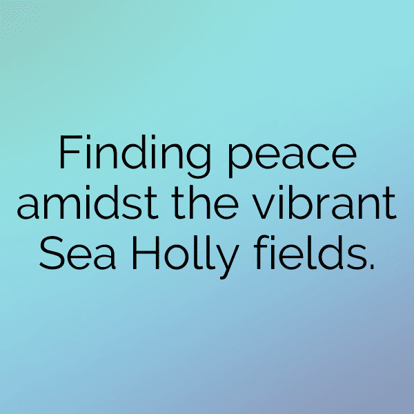 Sea Holly Captions Photo For Instagram-Fb8EbW