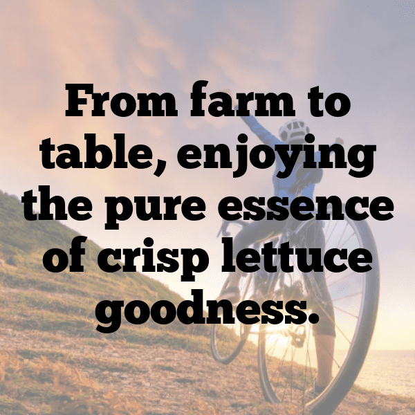 306+ Sea Lettuce Captions For Instagram (Best, Funny & Short) 12 Sea Lettuce Captions Image For Instagram-Pu3uf7