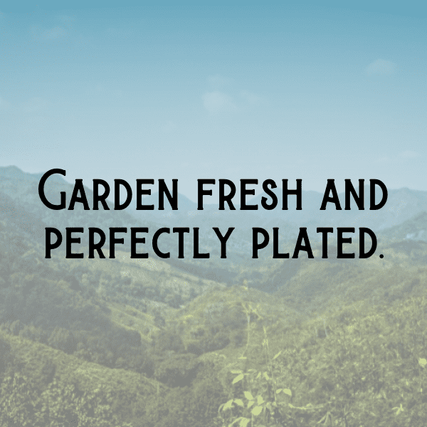 306+ Sea Lettuce Captions For Instagram (Best, Funny & Short) 8 Sea Lettuce Captions Image For Instagram-SGjqs7