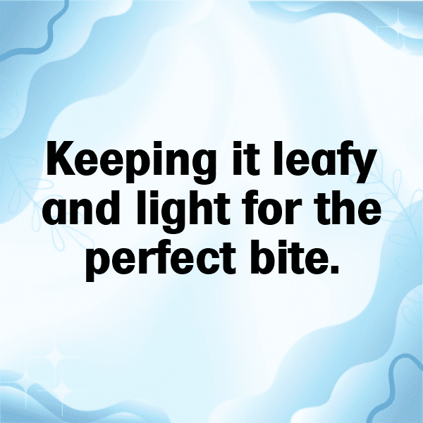 306+ Sea Lettuce Captions For Instagram (Best, Funny & Short) 7 Sea Lettuce Captions Photo For Instagram-ApGUeY