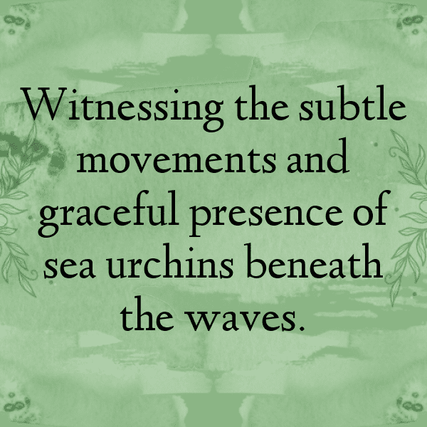 Sea Urchin Captions Image For Instagram-Y4e5Ws