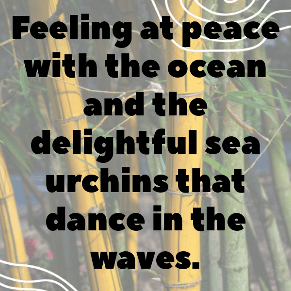 Sea Urchin Captions Image For Instagram-ZMsMtC