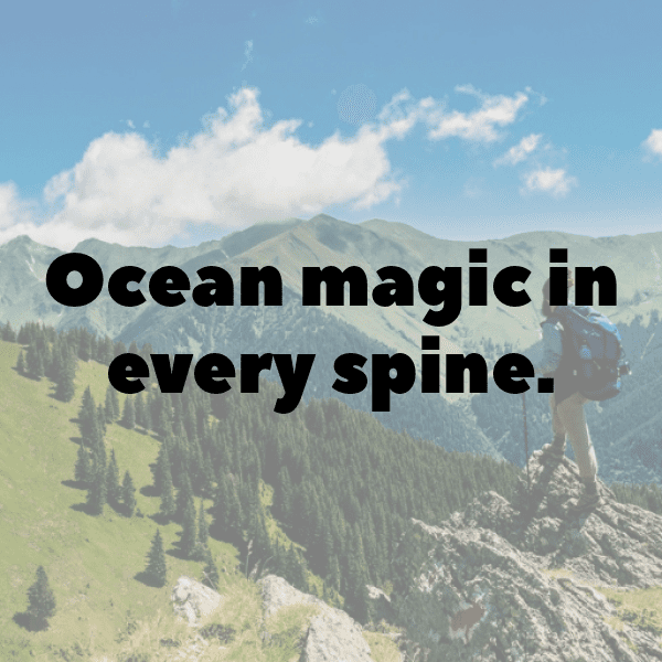 Sea Urchin Captions Photo For Instagram-7kaSNi