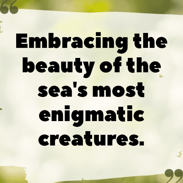 Sea Urchin Captions Photo For Instagram-dvXGPD