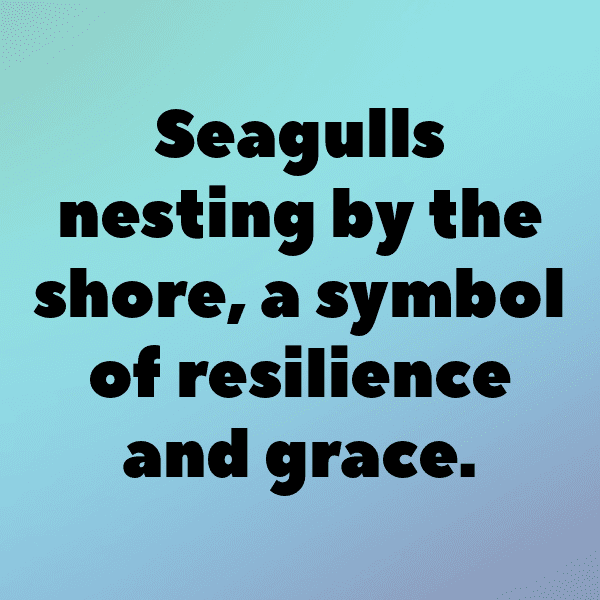 Seagull Captions Photo For Instagram-itR7Os