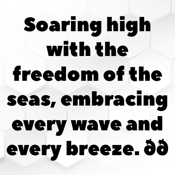 Seagull Captions Photo For Instagram-ONhWHO